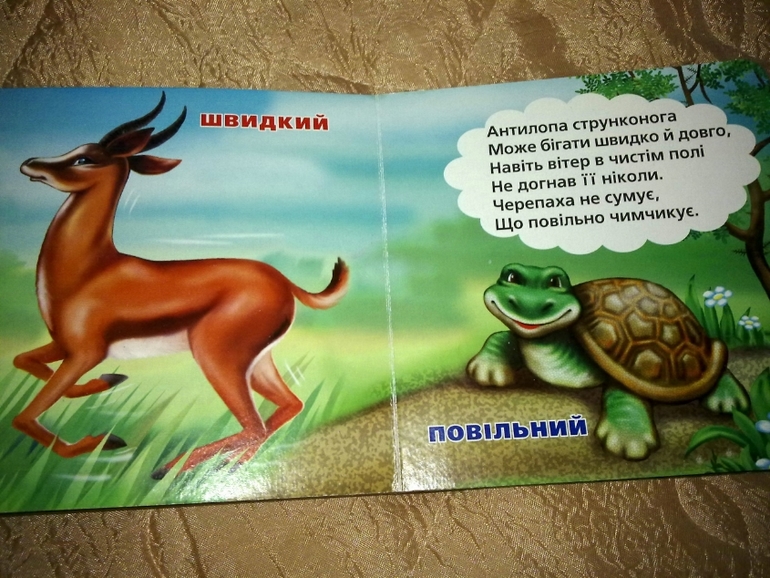 отчет ТД "Куда спешит черепаха"