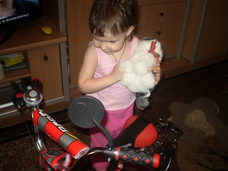 ТН Домашние животные Кошка