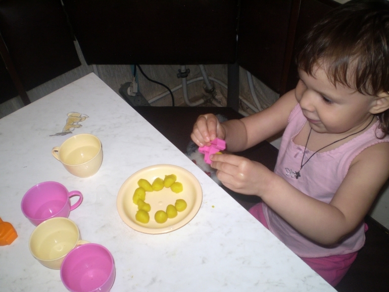 ТН Домашние животные Кошка