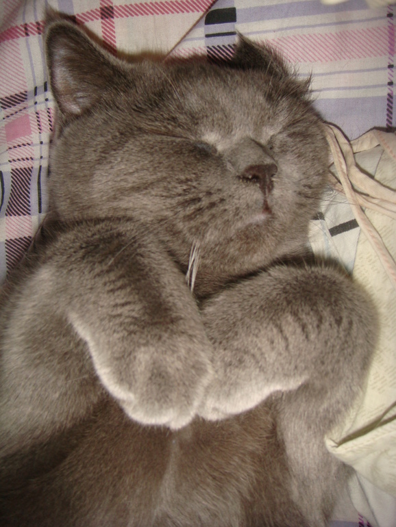 Скоро пополнение)