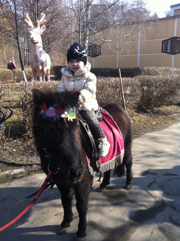 Сегодня