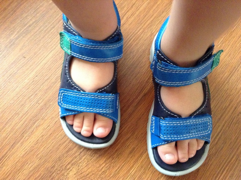 Темпы роста ножки трехлетки..