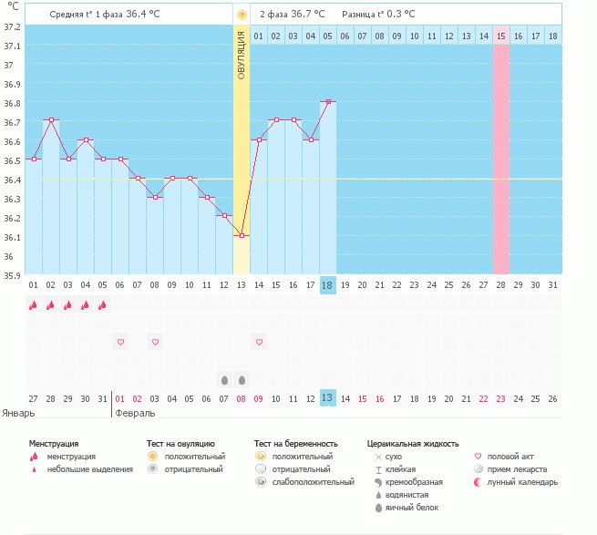 Хитрая овуля...