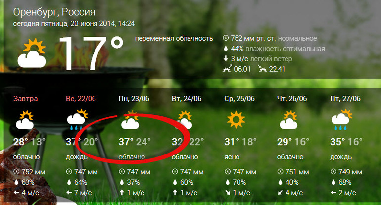 Гидрометцентр обещает в понедельник 37 градусов.