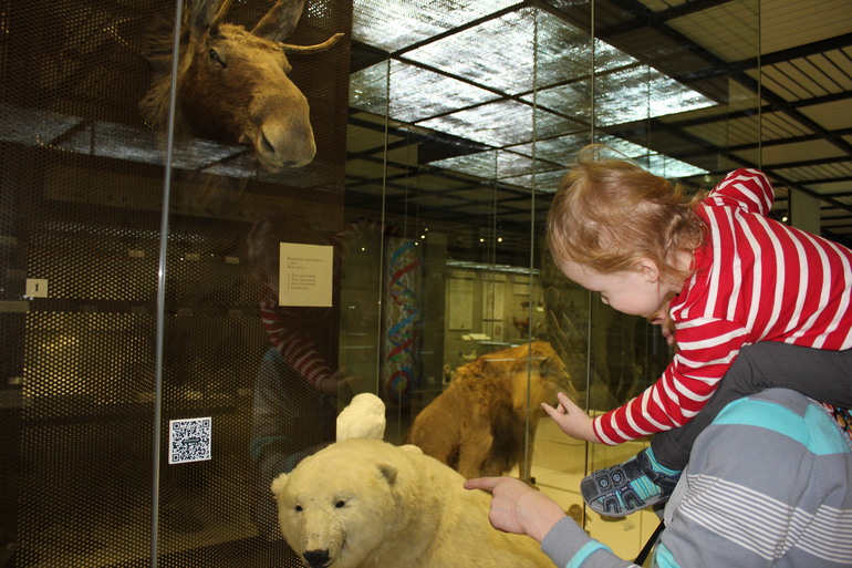 В Дарвиновском музее