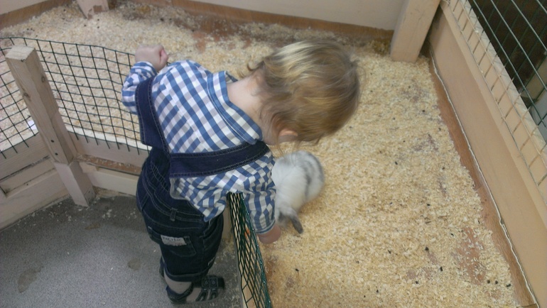 Насыщенная суббота