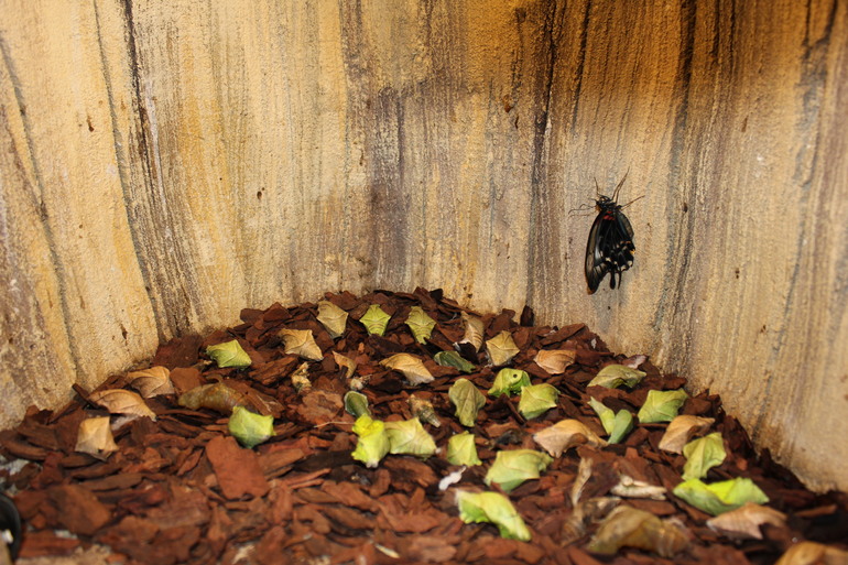 Насыщенная суббота