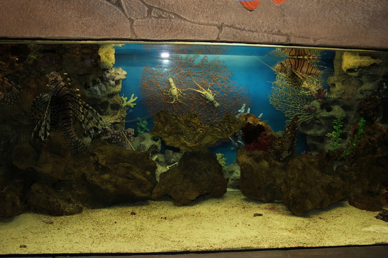 Насыщенная суббота