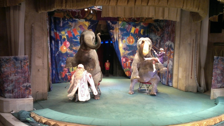 Замечательная новогодняя сказка!