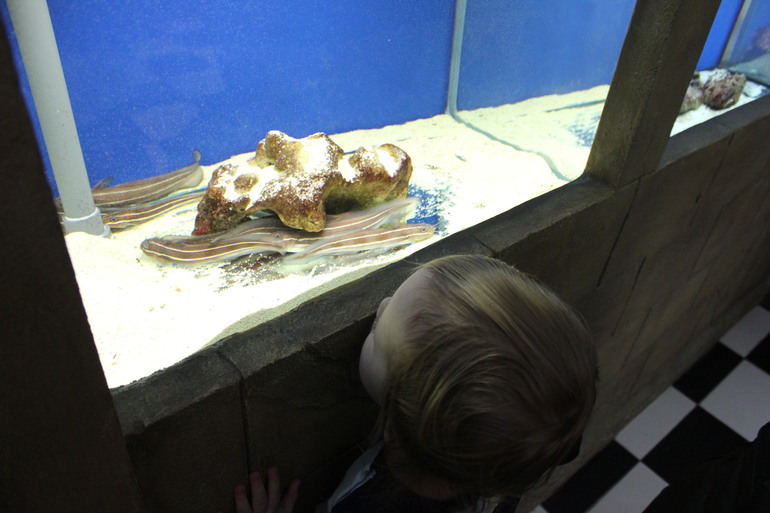 Насыщенная суббота