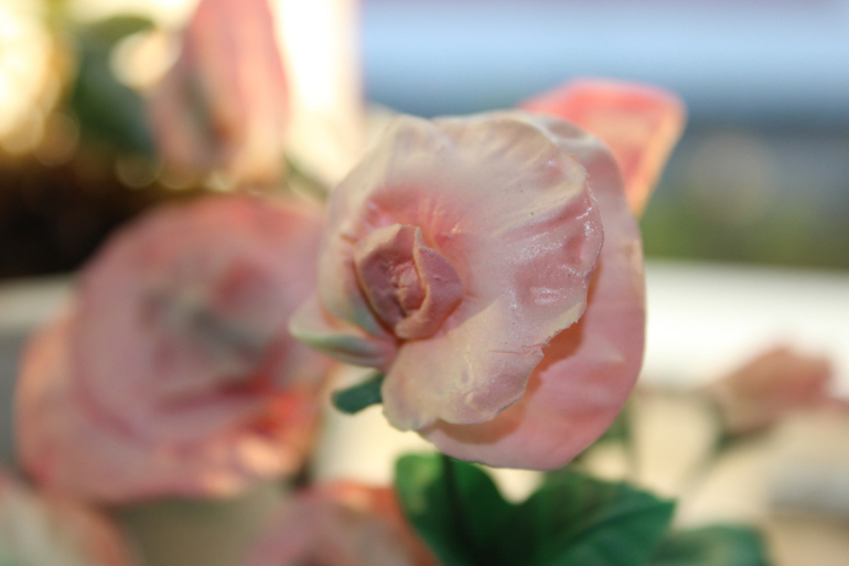 душистый горошек