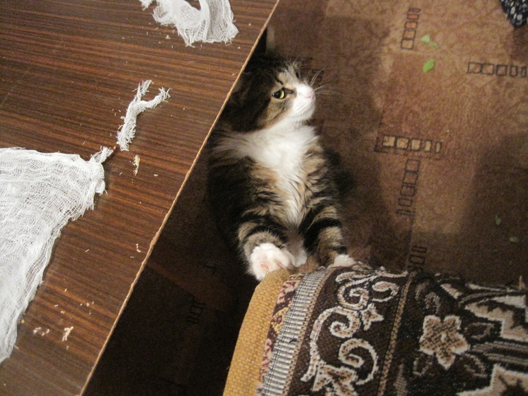 Наше рукоделие