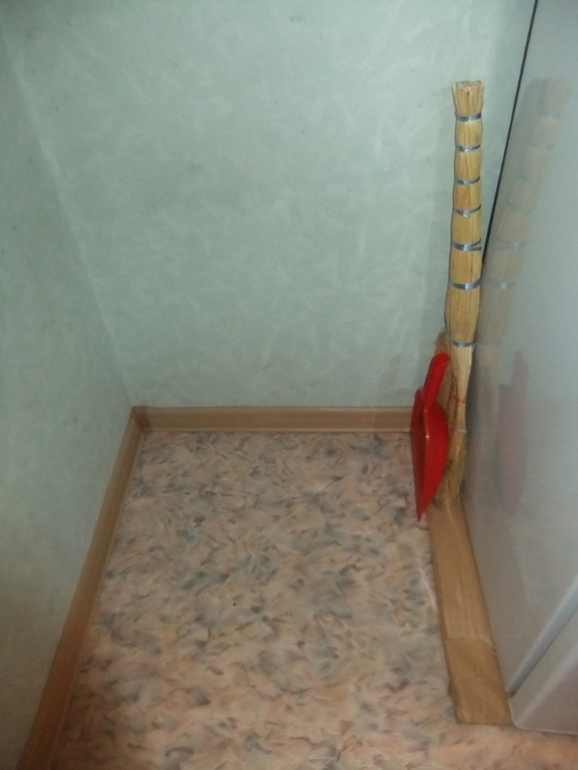 Дипломная работа. Один день настоящей ФлайЛеди.