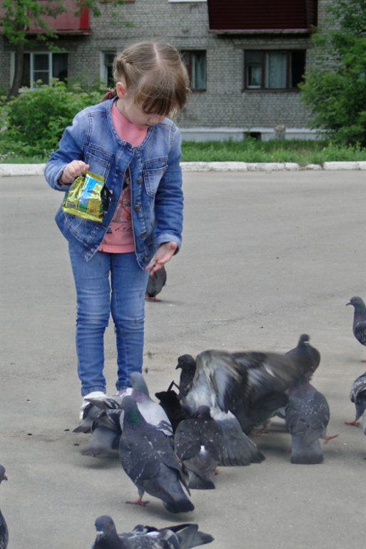 Прогулочное