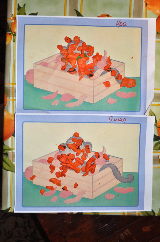 ТН Овощи, фрукты