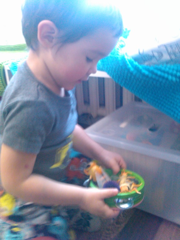 Денек, посвященный пчелке!