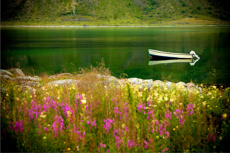 Немного норвежских картинок