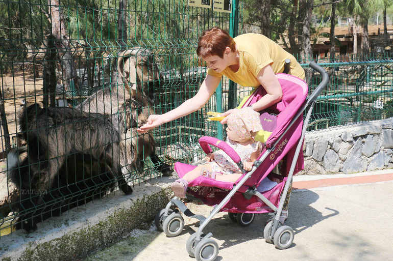 За отличным отдыхом в Amara Dolce Vita, Кемер.