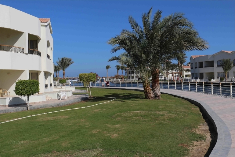 Наш неожиданный отдых в «Dana Beach» в Египте г. Хургада с 20.12-27.12.13