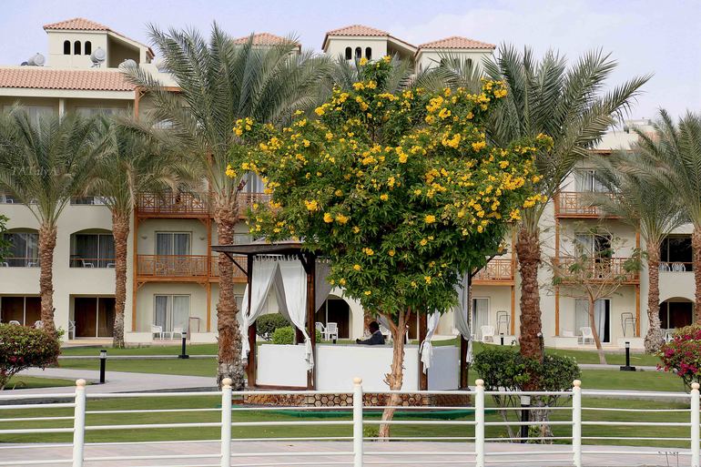 Наш неожиданный отдых в «Dana Beach» в Египте г. Хургада с 20.12-27.12.13