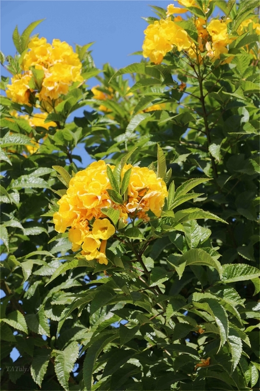 Наш неожиданный отдых в «Dana Beach» в Египте г. Хургада с 20.12-27.12.13