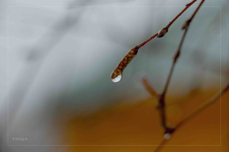 Наш Новый год 2014