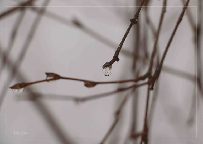 Наш Новый год 2014