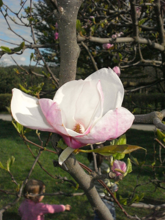 парк (20.04.2014)