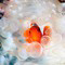 Именинницы ღ ღ ღ 5 января ღ ღ ღ