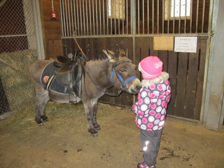 Зимние каникулы