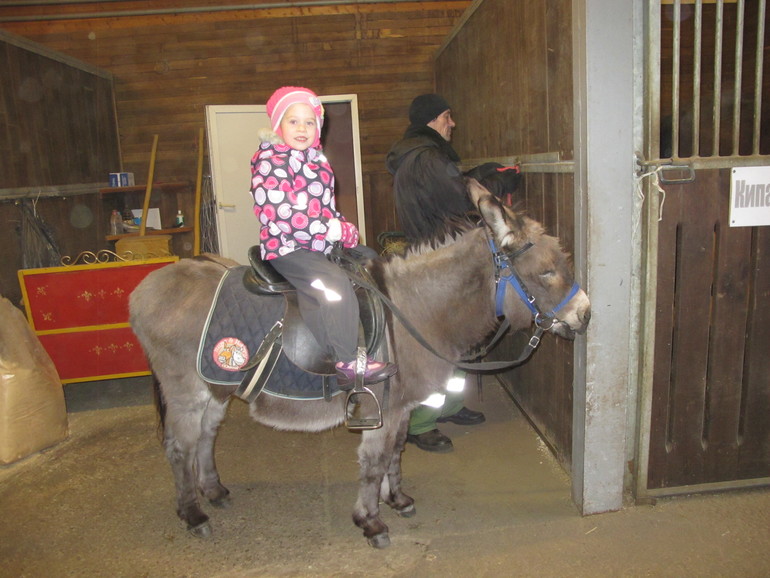 Зимние каникулы