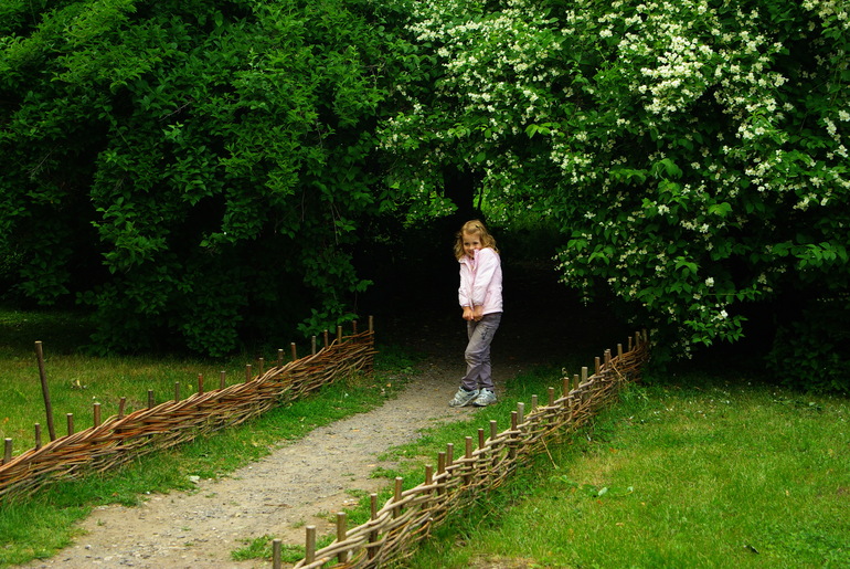 Рязанская обл, село Константиново (продолжение)