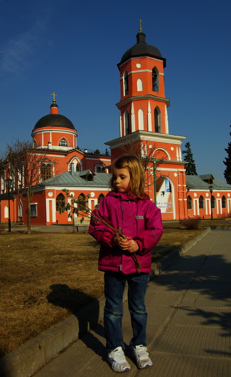 "Вербное воскресенье"..и необязательно, чтобы ветки были вербы...это не важно