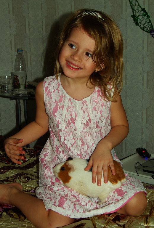 видное 2014