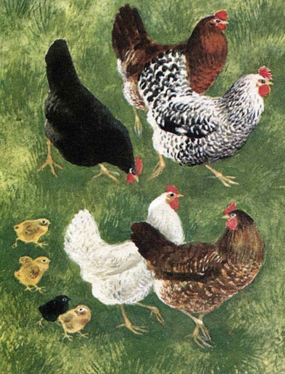 К.Ушинский: Бишка. Художник Н.Устинов