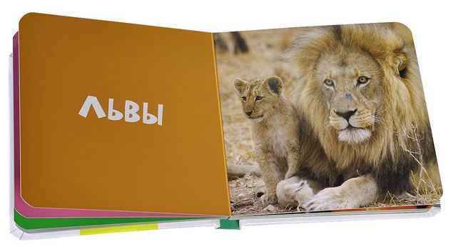 Новинки Клевера