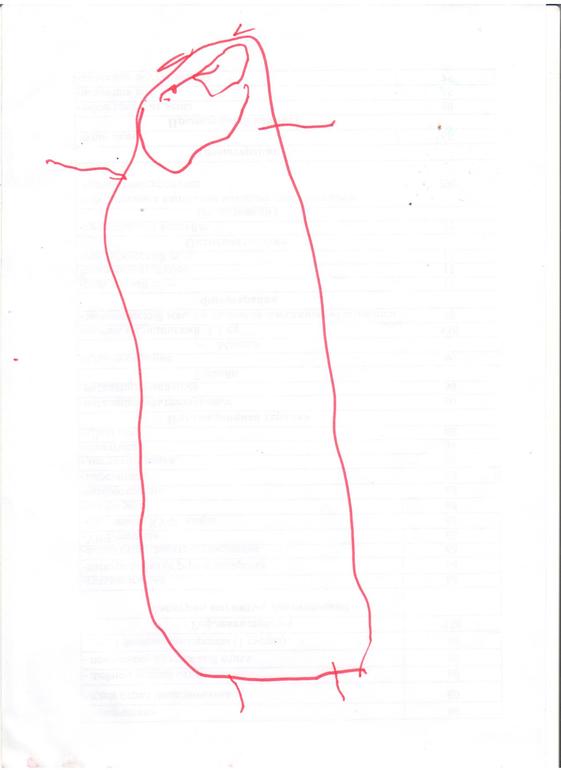 Данилкино творчество