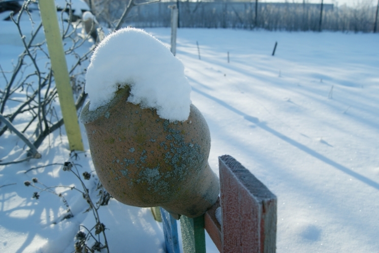 морозный день