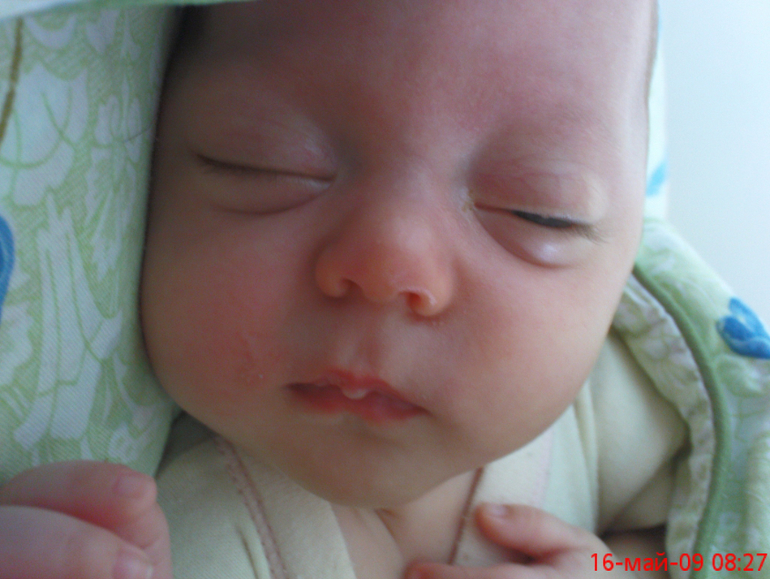 закончилось наше гв