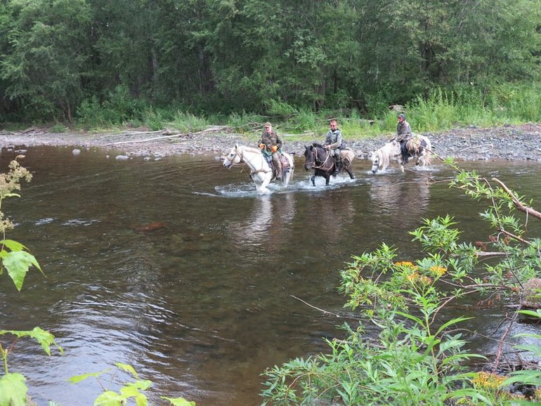 Камчатка - любовь моя. Осторожно, куча фото)