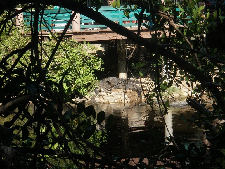 Курортники :)