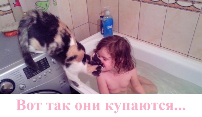 Две дружилки:)