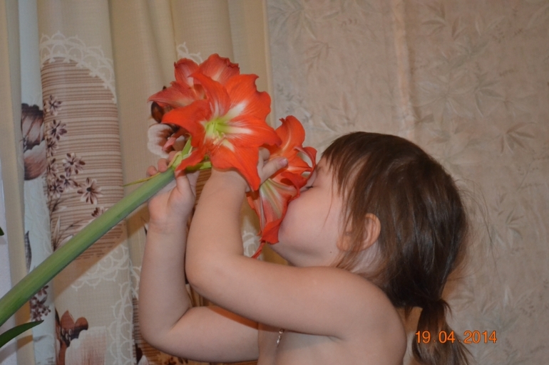 будни апреля 2014