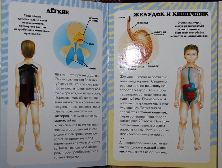 Пополнение детской библиотеки