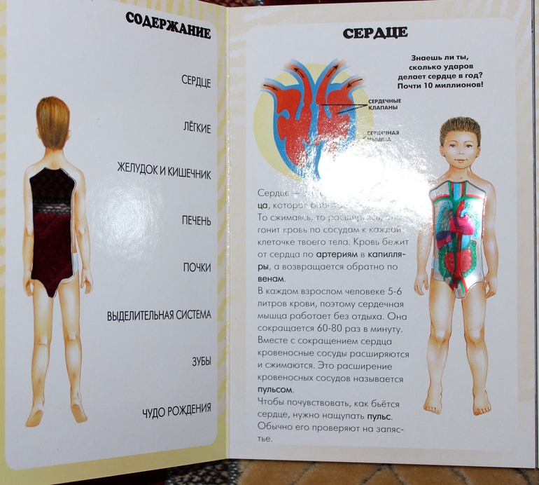 Пополнение детской библиотеки