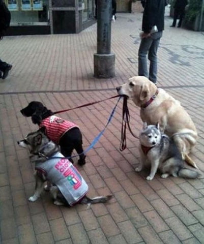 А улыбнуться?