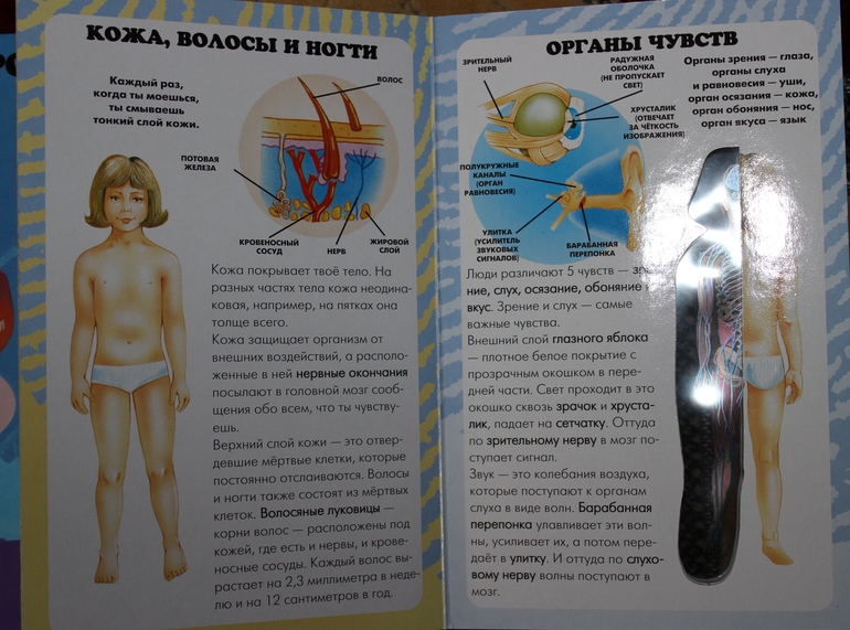 Пополнение детской библиотеки