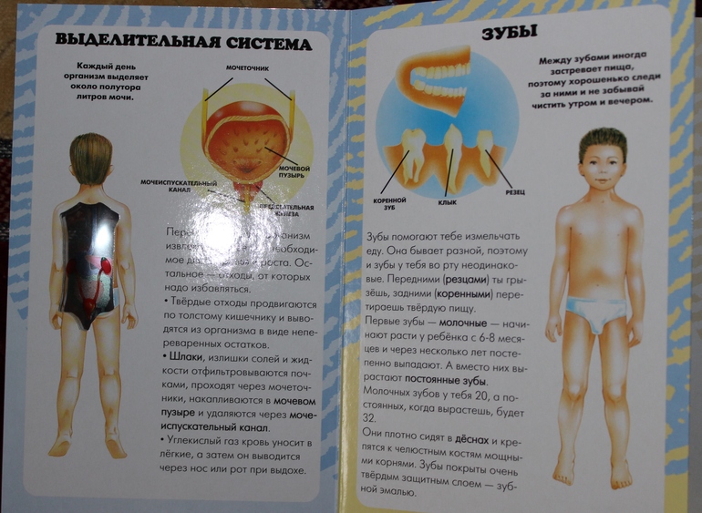 Пополнение детской библиотеки