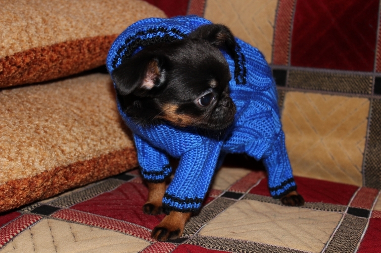 Бонифацию пол годика:)