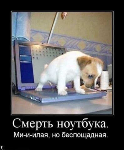 Порция пятничного позитива:)